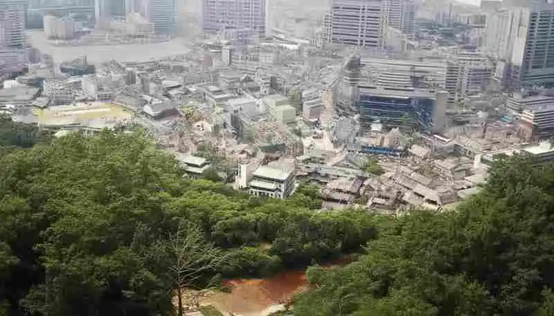 闻淑颖